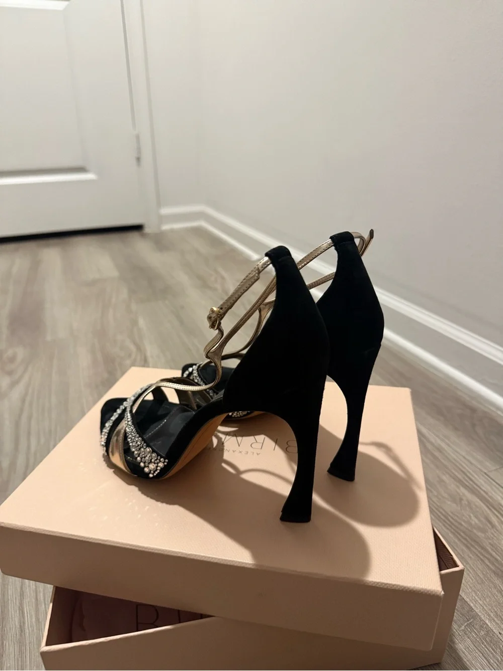 Alexandre Birman chic black